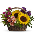 Picnic in the Park Cottage Florist Lakeland Fl 33813 Premium Flowers lakeland